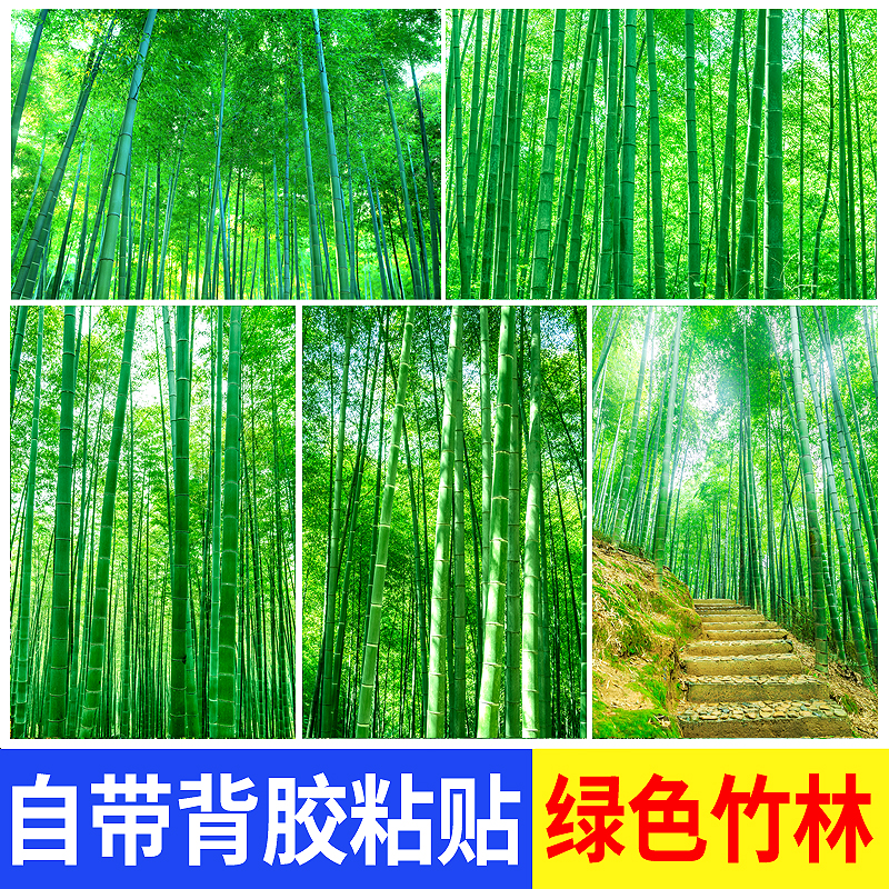 绿色竹林墙贴纸海报自粘简约客厅办公室护眼竹子风景装饰画墙壁画