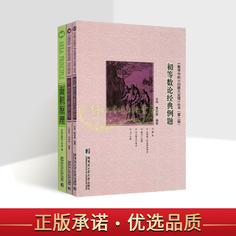 数学中的小问题大定理丛书全套3册初等数论经典例题中国剩余定理面积原理难题练习分析解答哈工大出版社