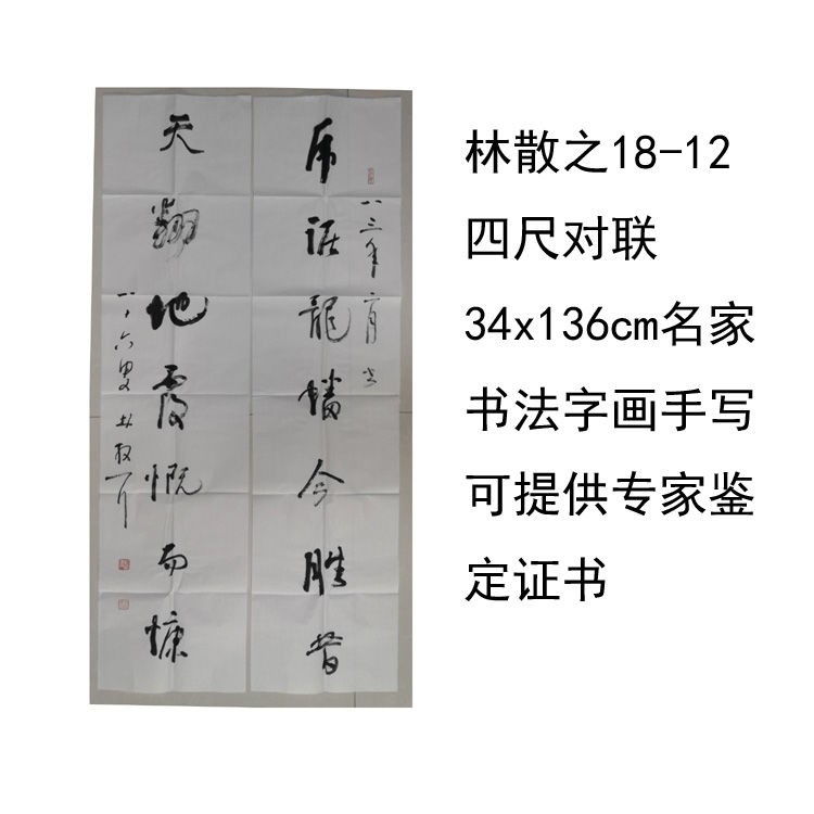 临摹手写林散之书法对联34x136cm名家题字名人字画收藏可提供鉴定