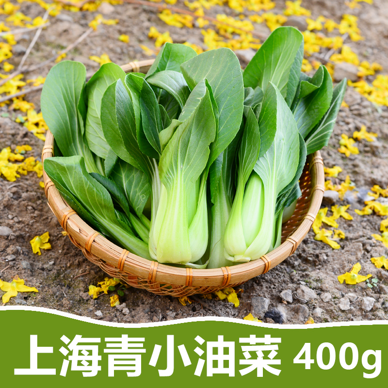 北京密云 本地农家自产蔬菜新鲜自产小油菜400g精选自然生长蔬菜