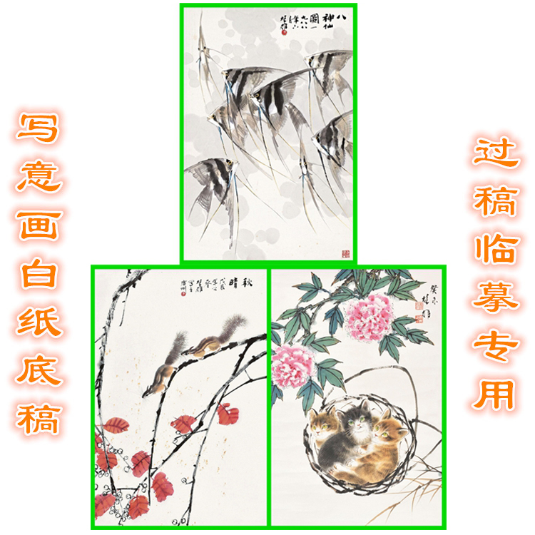 X33牡丹猫咪热带鱼松鼠方楚雄写意画动物白描底稿线描画稿条幅