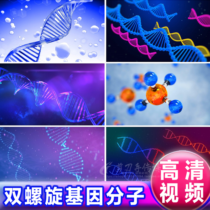 DNA双螺旋基因序列组分子结构 生物学糖核酸医疗技术动画视频素材