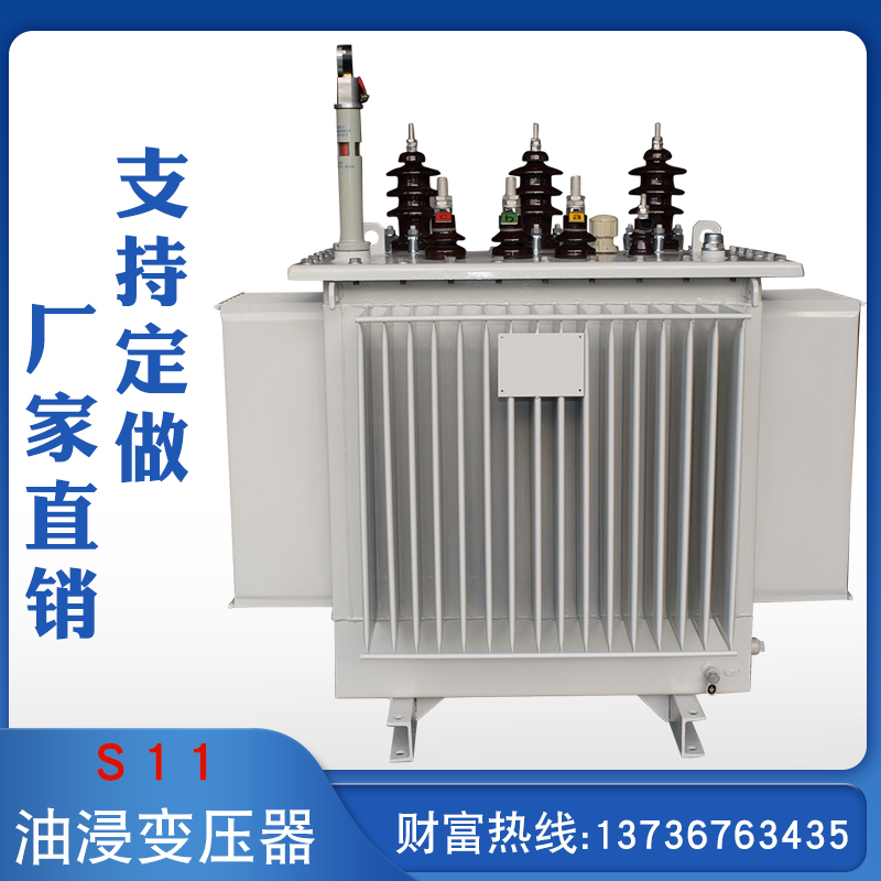 S11-250KVA油浸式电力变压器11000/0.4KV农村建设基站户外变压器
