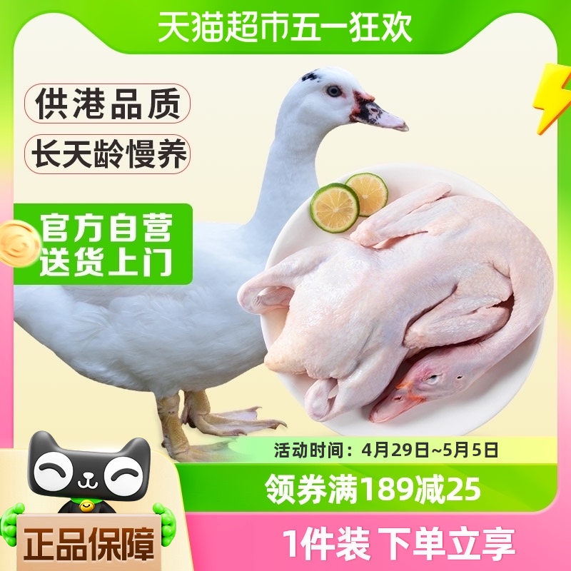 温氏天露番鸭鸭肉2kg土鸭子肉农家老家鸭飞鸭广东番鸭生鲜食品