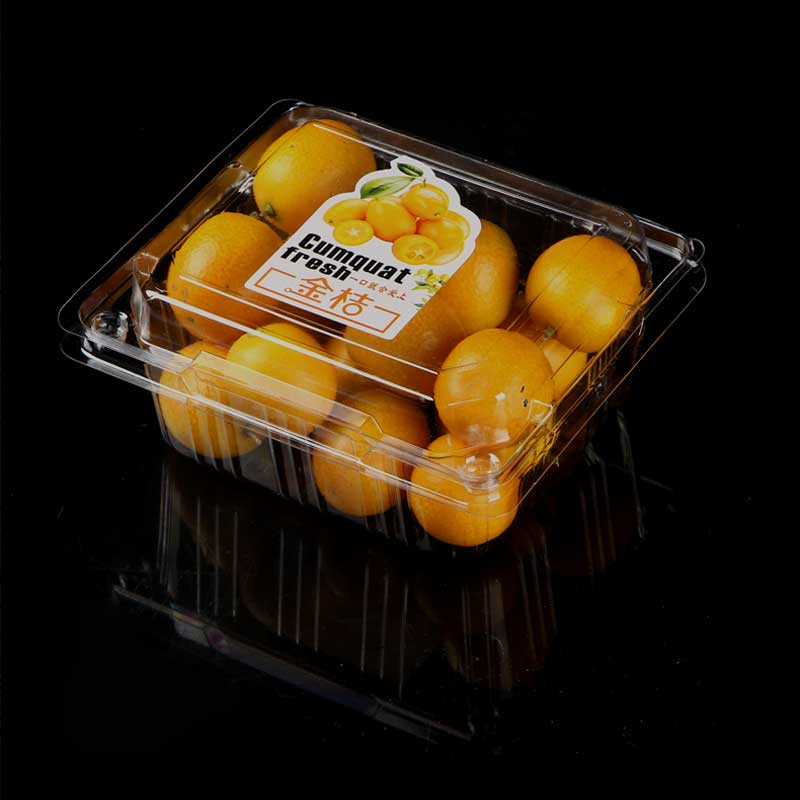 一次性水果盒子塑料透明有盖果切盒草莓盒拼盘车厘子包装盒优质款