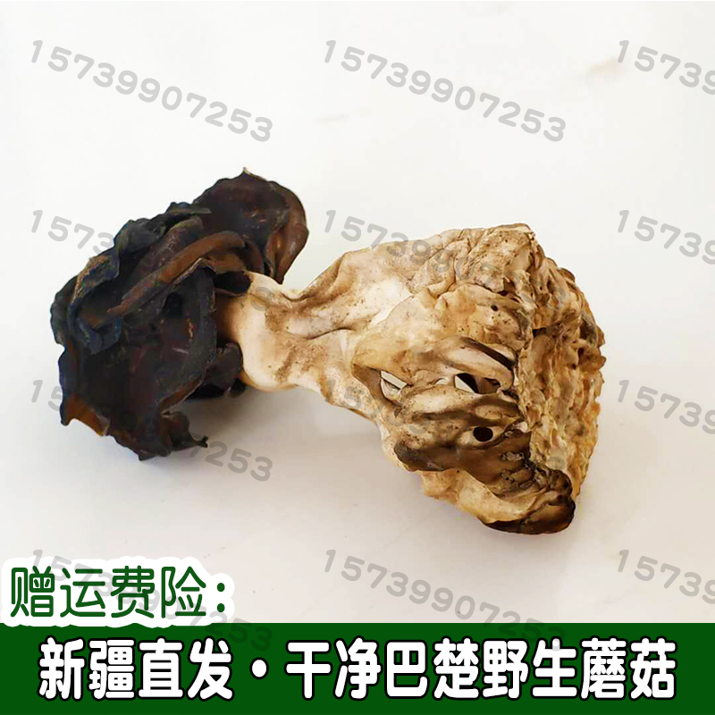 干净巴楚菇100g 新疆巴楚野生蘑菇干食用菌香菇胡杨林皱柄羊肚菌.