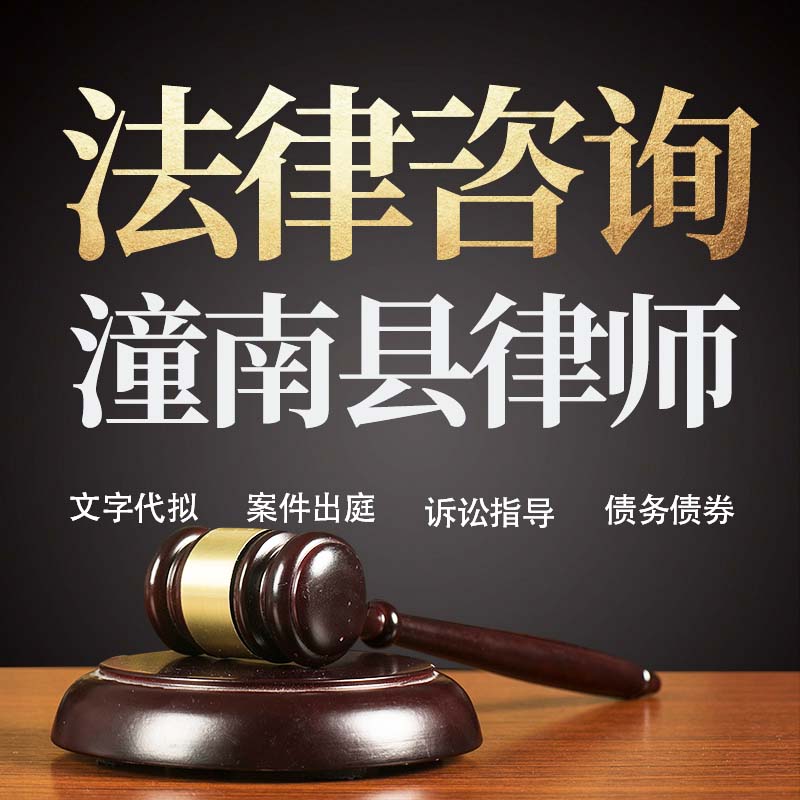法律咨询潼南县律师在线服务合同协议离婚债务刑事房产劳动起诉书