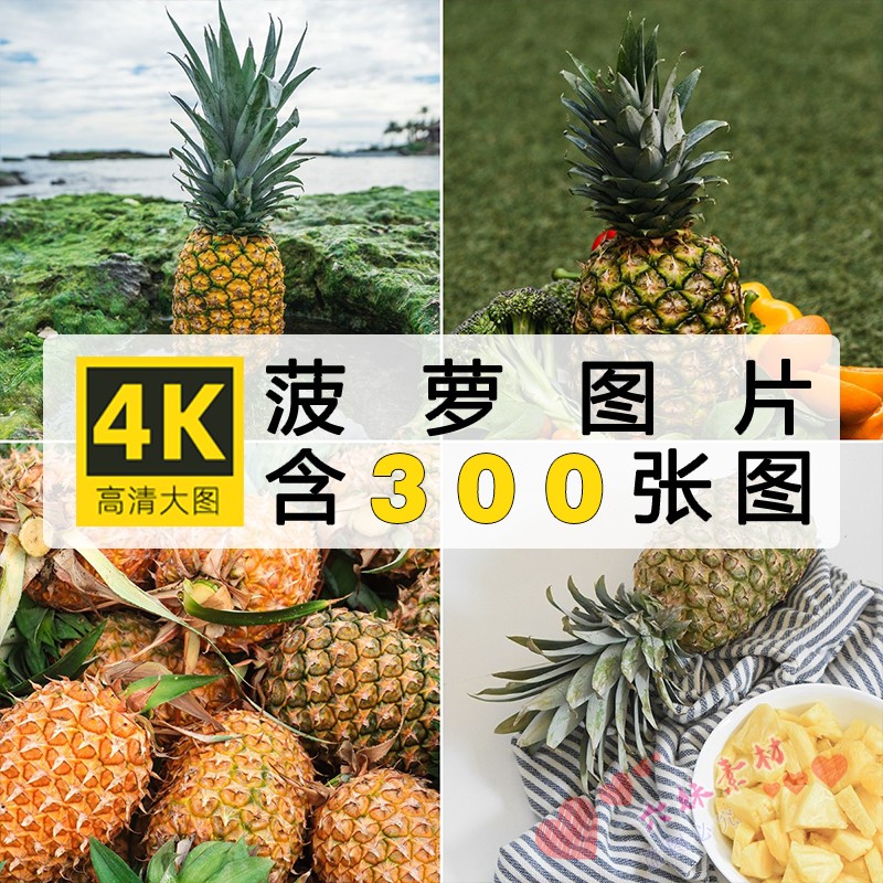 高清图库菠萝凤梨水果4K8K超清摄影照片图集壁纸图片素材JPG合集