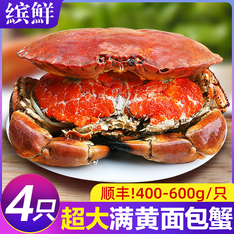 面包蟹鲜冻新鲜鲜活特大超大珍宝蟹生冻熟食梭子蟹海鲜水产大螃蟹