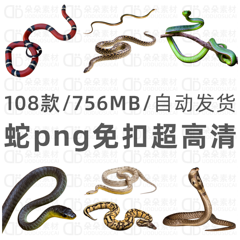蛇免扣png高清ps素材透明背景大蟒蛇黑蛇白蛇数字绘景CG原画参考