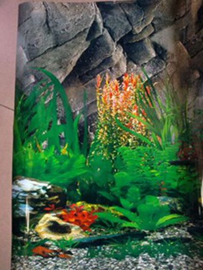 鱼缸造景装饰背景画高清海洋世界60cm