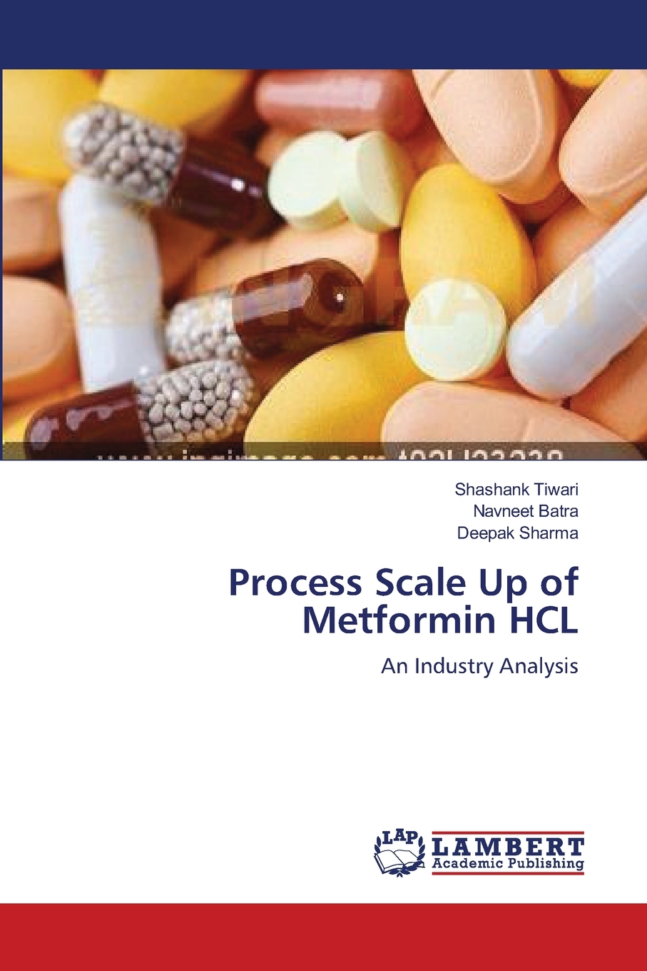 【预售 按需印刷】Process Scale Up of Metformin HCL