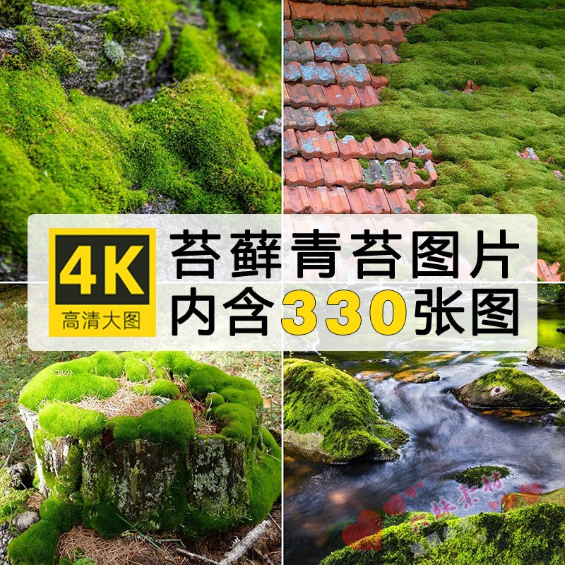 高清苔藓青苔地衣草绿色植物摄影图片ps设计喷绘打印合成JPG素材