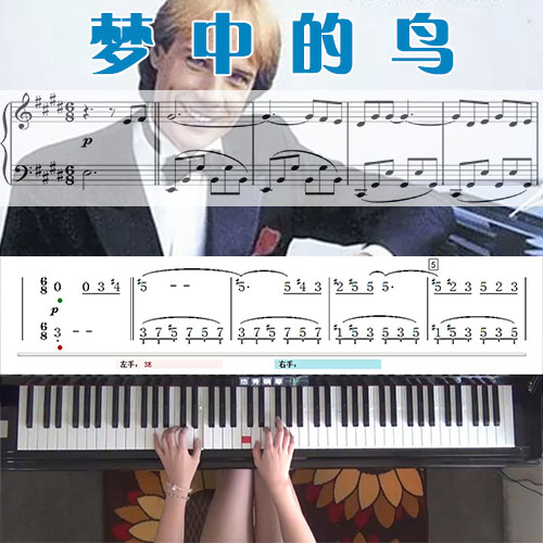 梦中的鸟(克莱德曼)五线谱简谱钢琴教学课程 悠秀