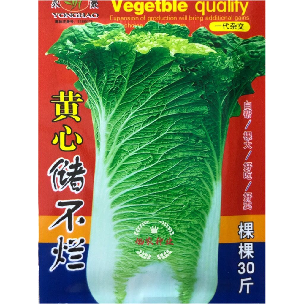 东北秋季大白菜种子散心白菜高棵黄心菜冬储酸菜种籽蔬菜种子大全
