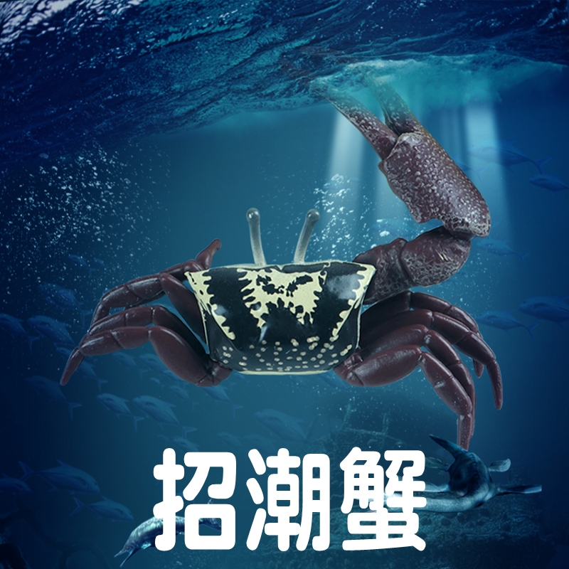 林畅模玩儿童海洋动物玩具招潮蟹模型仿真螃蟹海底爬行生物沙蟹科