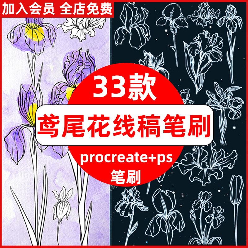 鸢尾花procreate笔刷ps笔刷植物花朵鲜花卉辅助线稿蝴蝶花蕾插画