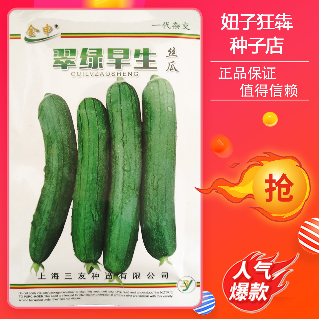 翠绿早生丝瓜种子杂交短丝瓜籽油绿颜色好产量高新货蔬菜种清汤瓜