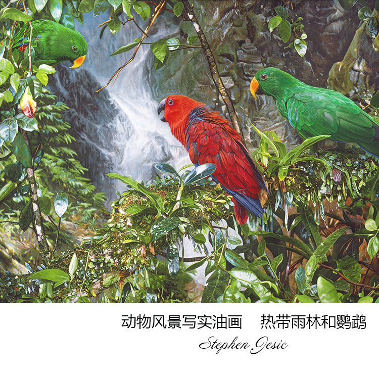 热带雨林和鹦鹉 写实动物森林风景油画 客厅卧室书房玄关装饰画芯