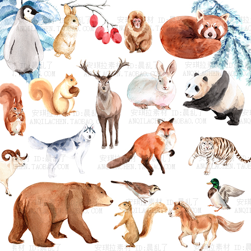 高清手绘水彩冬季动物鹿兔子熊企鹅松鼠大熊猫png卡片海报素材
