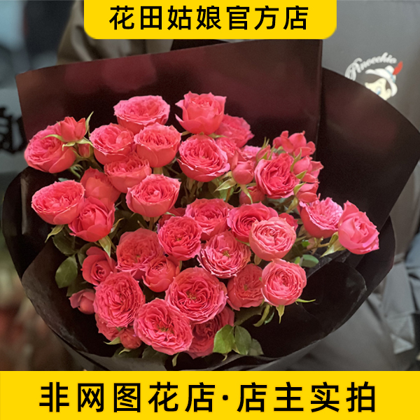 【开州花田姑娘鲜花店】【你是我的宝贝】苏菲宝贝19支玫瑰弗洛伊