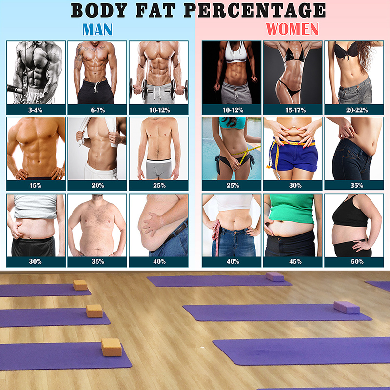 体脂背景墙纸健身瑜伽养生馆男女体脂率姿姿势对比图体态评估壁纸