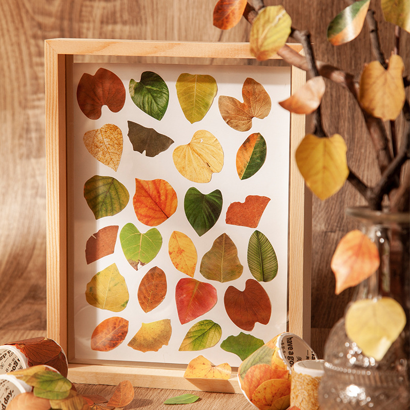 儿童贴纸秋天树叶胶带 创意植物手帐DIY装饰带背胶粘贴秋季的落叶