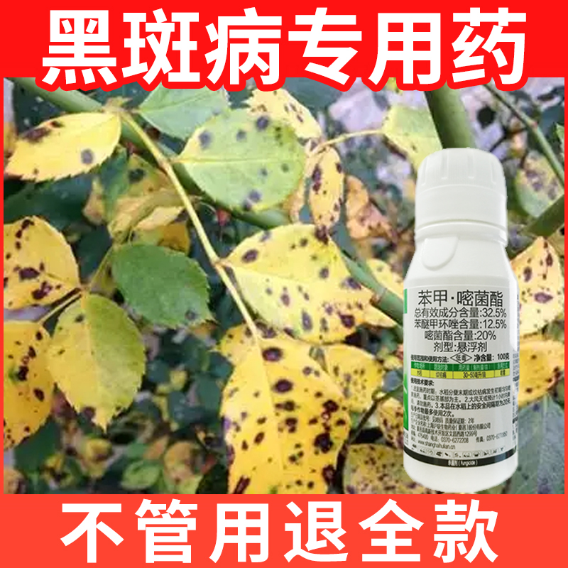 月季花黑斑病专用药多肉蔷薇花多菌灵常用药植物白粉病通用杀菌剂