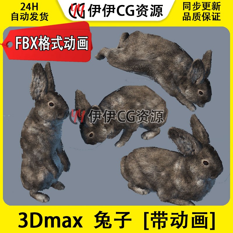 3D模型3DMax动物模型U3D灰兔兔子rabbit小白兔FBX动画文件野兔