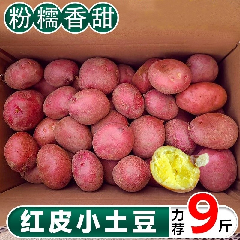 云南红皮土豆新鲜当季蔬菜马铃薯现挖小洋芋农家自种高原黄心土豆