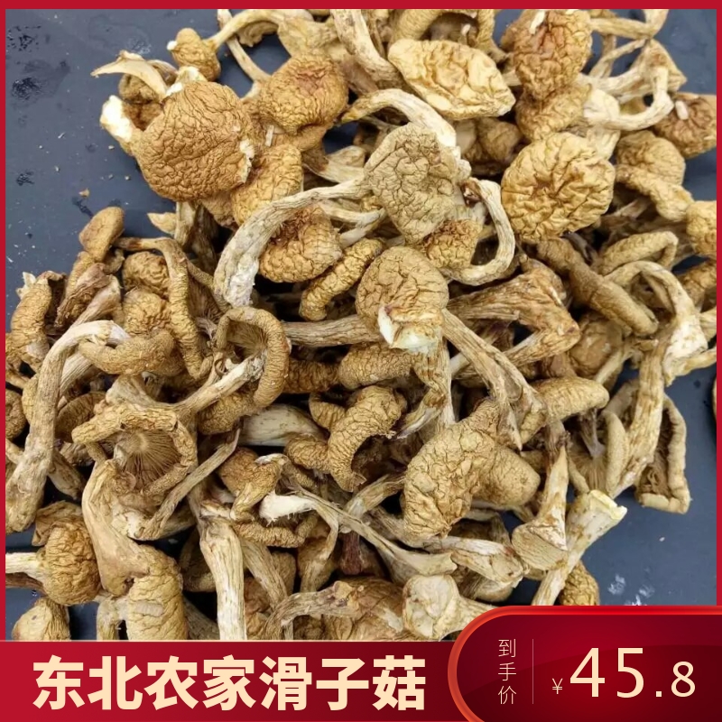 东北特产滑子菇干货500g包邮滑子蘑小鸡炖蘑菇小黄蘑野生蘑菇
