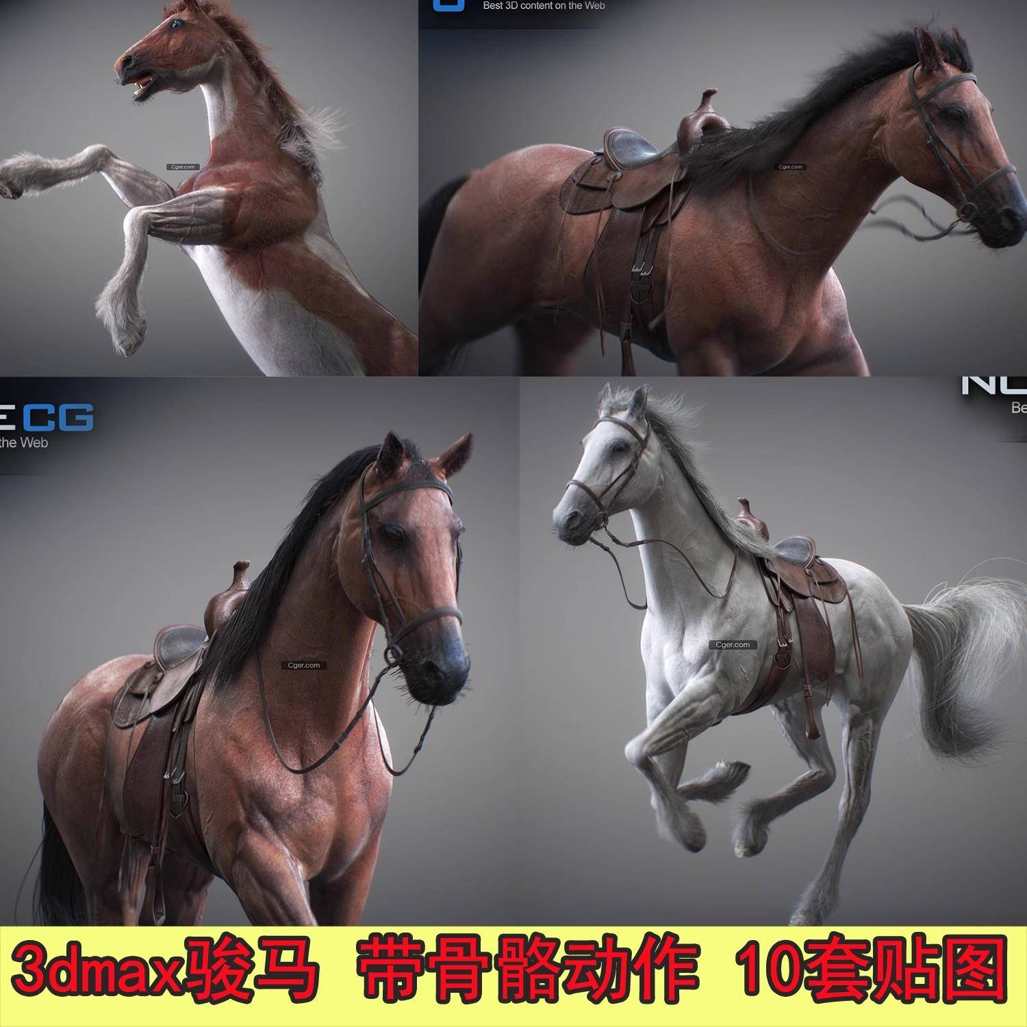 3dmax影视骏马带骨骼绑定走跑动作白马写实马模型多套4k皮肤贴图