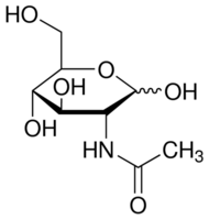 N-乙酰-D-葡萄糖胺/N-乙酰-D-氨基葡萄糖/7512-17-6