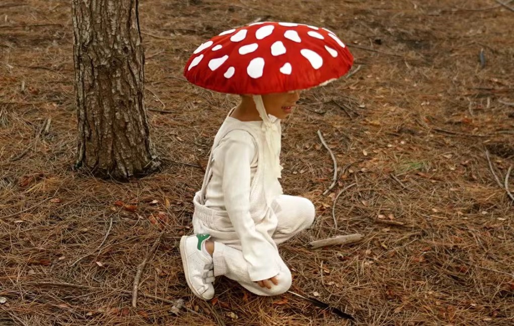 创意蘑菇盖帽子头戴红伞伞蘑菇帽子个性可爱搞怪礼物网红拍照