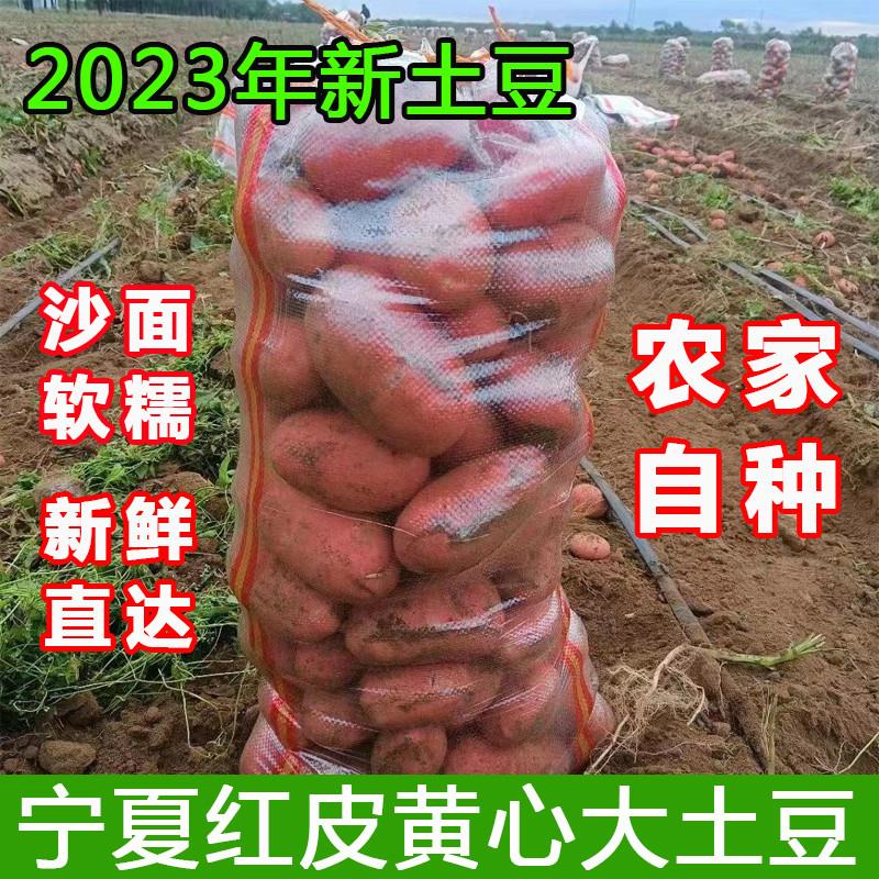 红皮土豆宁夏隆德西吉农家自种沙面粉糯固原马铃薯紫皮洋芋农产品