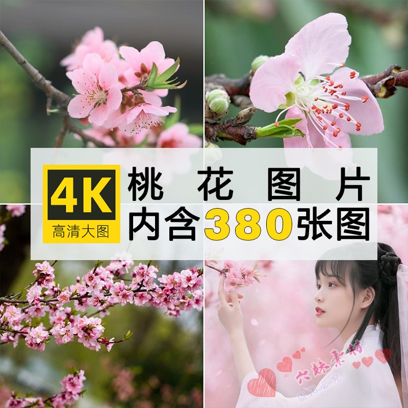 4K高清桃花图片粉红白花朵盛开花卉照片手机电脑壁纸素材自动发货