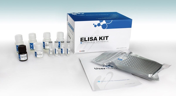 Human IL-6 elisa kit 人白细胞介素6检测试剂盒elisa检测试剂盒