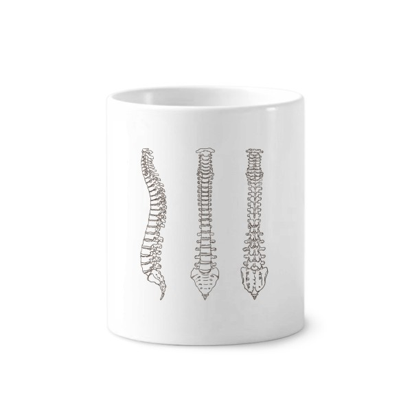 脊椎骨人体骨骼素描陶瓷刷牙杯子笔筒白色马克杯礼物