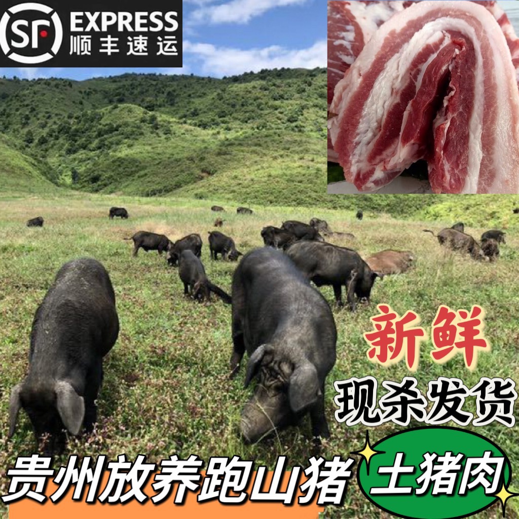 贵州农家特产粮食喂养黑土猪肉跑山猪排骨带骨五花肉猪蹄新鲜现杀