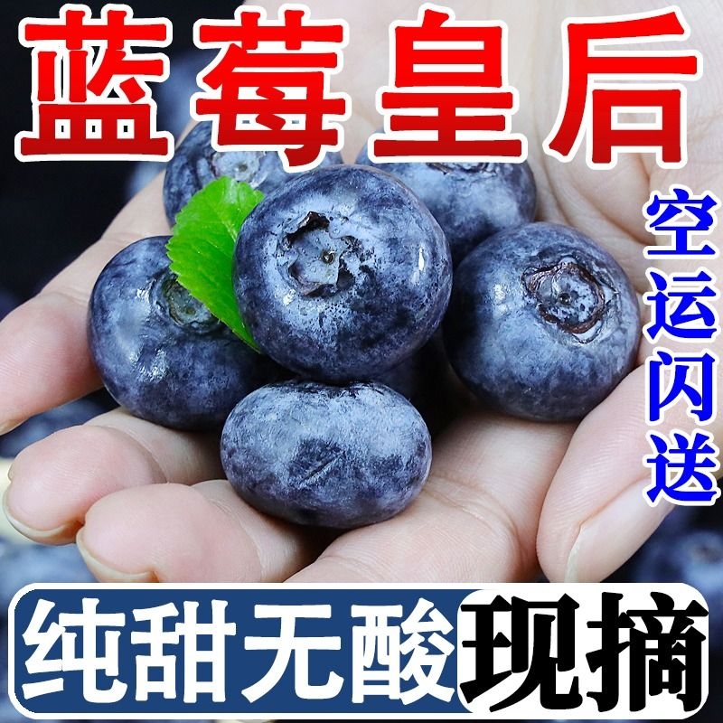 空运云南花香蓝莓鲜果单盒125g当季孕妇宝宝辅食一颗冰冻现摘大果