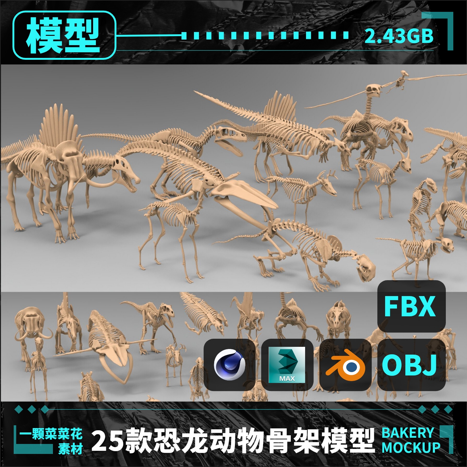 动物人物恐龙骨骼骨架骨头模型blender/C4d/Maya/Max/Obj素材A133