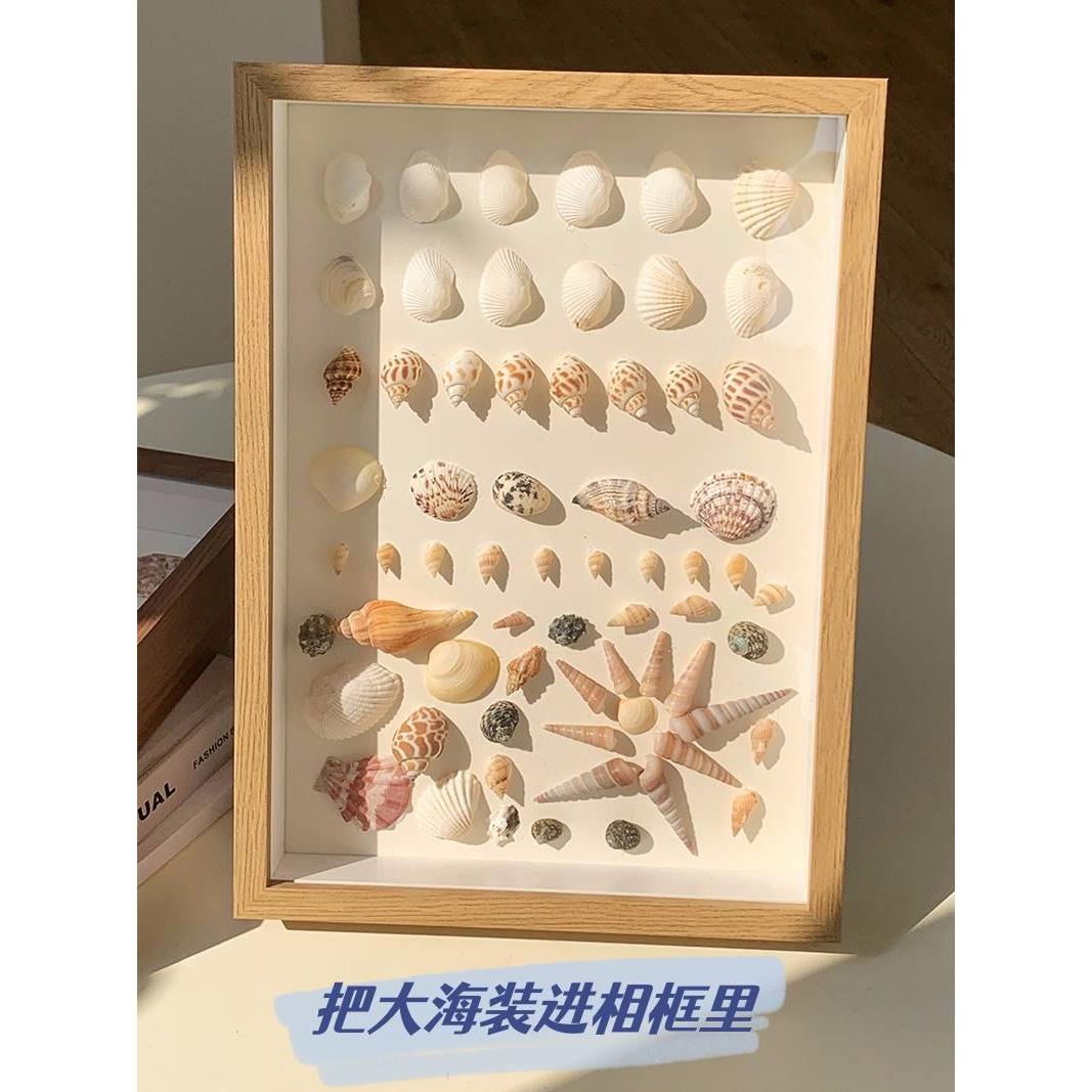 海边贝壳海螺diy标本框自制手工礼物纪念画框中空正方形简约相框