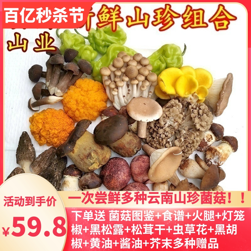新鲜云南野生菌蘑菇组合两斤松露牛肝松茸鸡枞羊肚见手青香菇美食