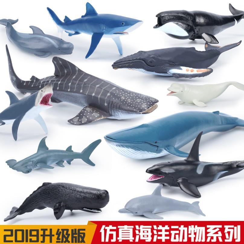 仿真软胶海洋动物世界模型蓝鲸鱼锤头鲨鱼海龟儿童玩具白鲸海豹豚