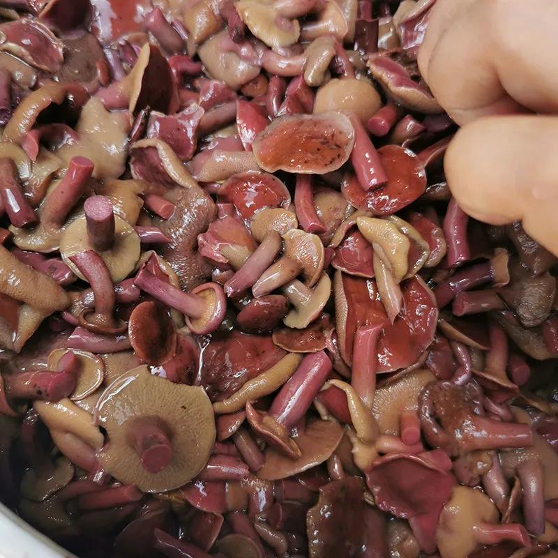 红乳牛肝菌野生菌云南特产松树菌新鲜速冻涮火锅1kg美味蘑菇滑嫩
