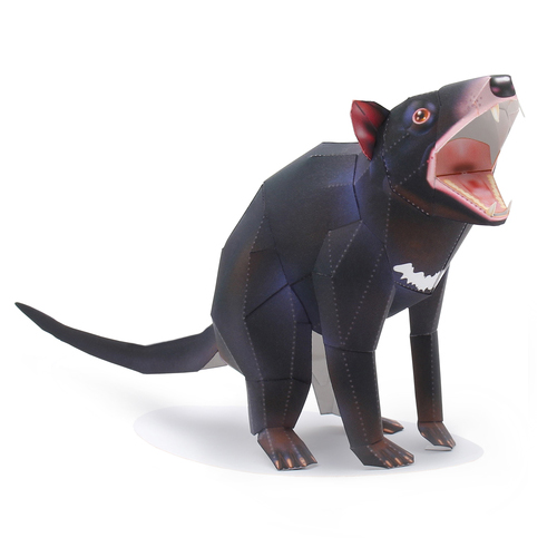 儿童益智DIY立体手工制作仿真动物澳大利亚袋獾3D纸模型纸艺玩具