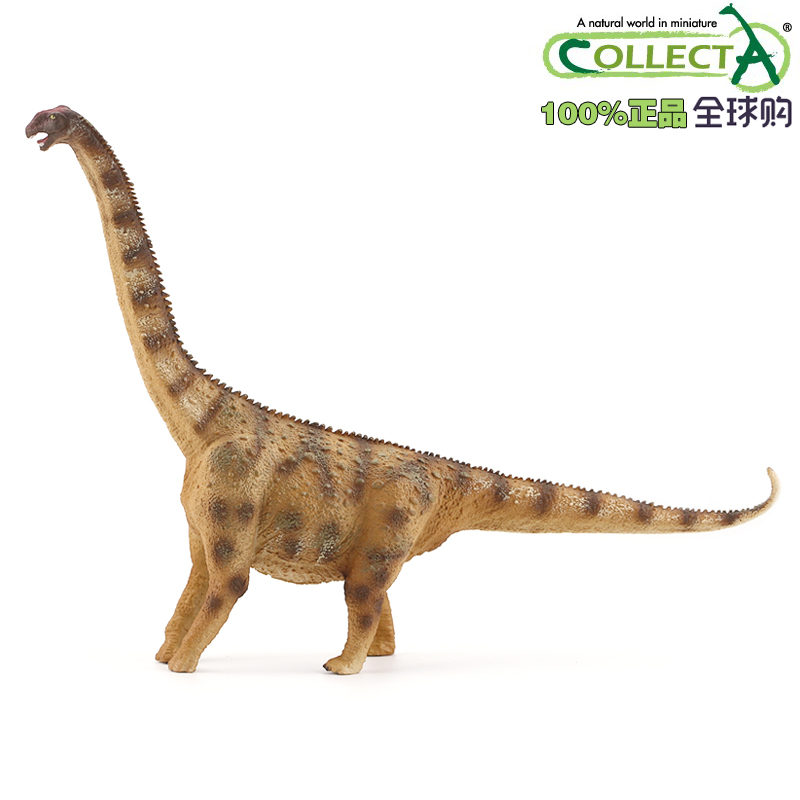 英国CollectA我你他仿真史前侏罗纪恐龙模型玩具88547阿根廷龙