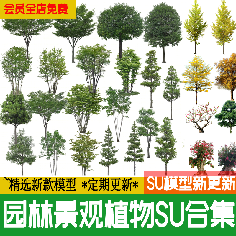 2D3D园林景观手绘真实植物灌木乔木树木花卉热带树SU模型素材设计