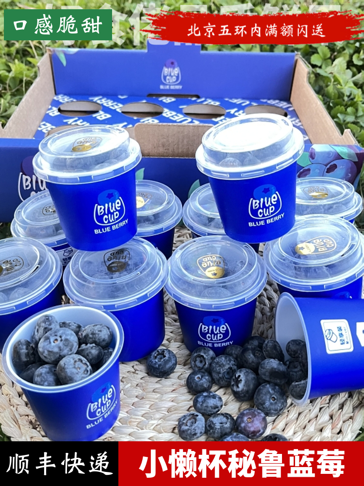 小懒杯蓝莓鲜果12杯共720克礼盒装 大甜秘鲁新鲜孕妇水果顺丰