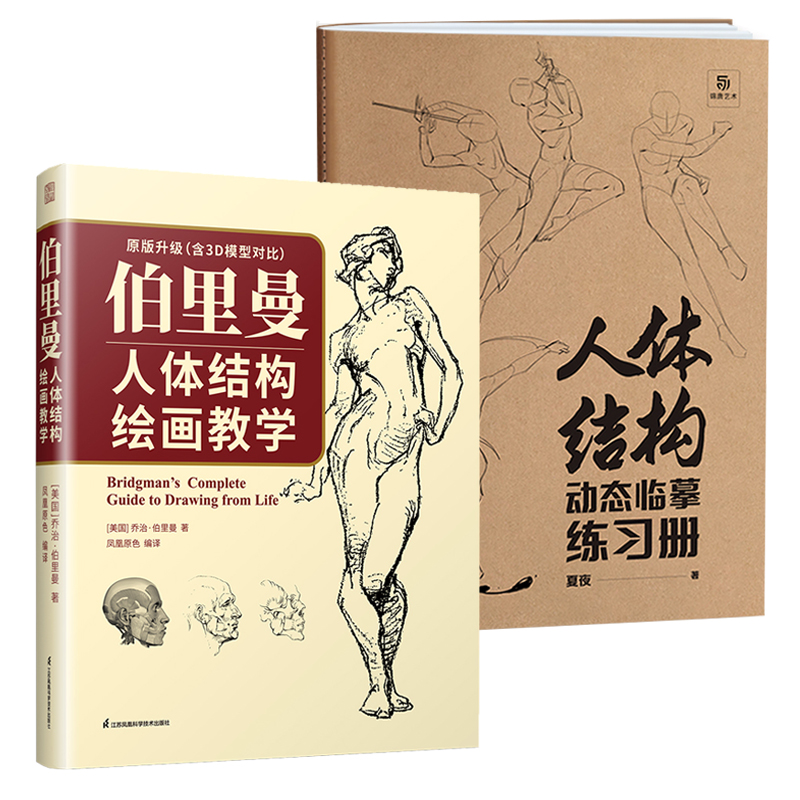 伯里曼人体结构绘画教学+人体结构动态临摹练习册全2册人体不同部位3D模型图人物头像造型手绘基础原理技法入门基础绘画临摹书籍